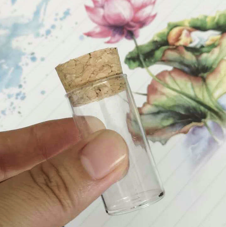 100pcs/lot 24x45mm Flat Bottom Plastic Drosophila Vials culture tube, Plastic Test Tubes With Food Grade Cork Stoppers