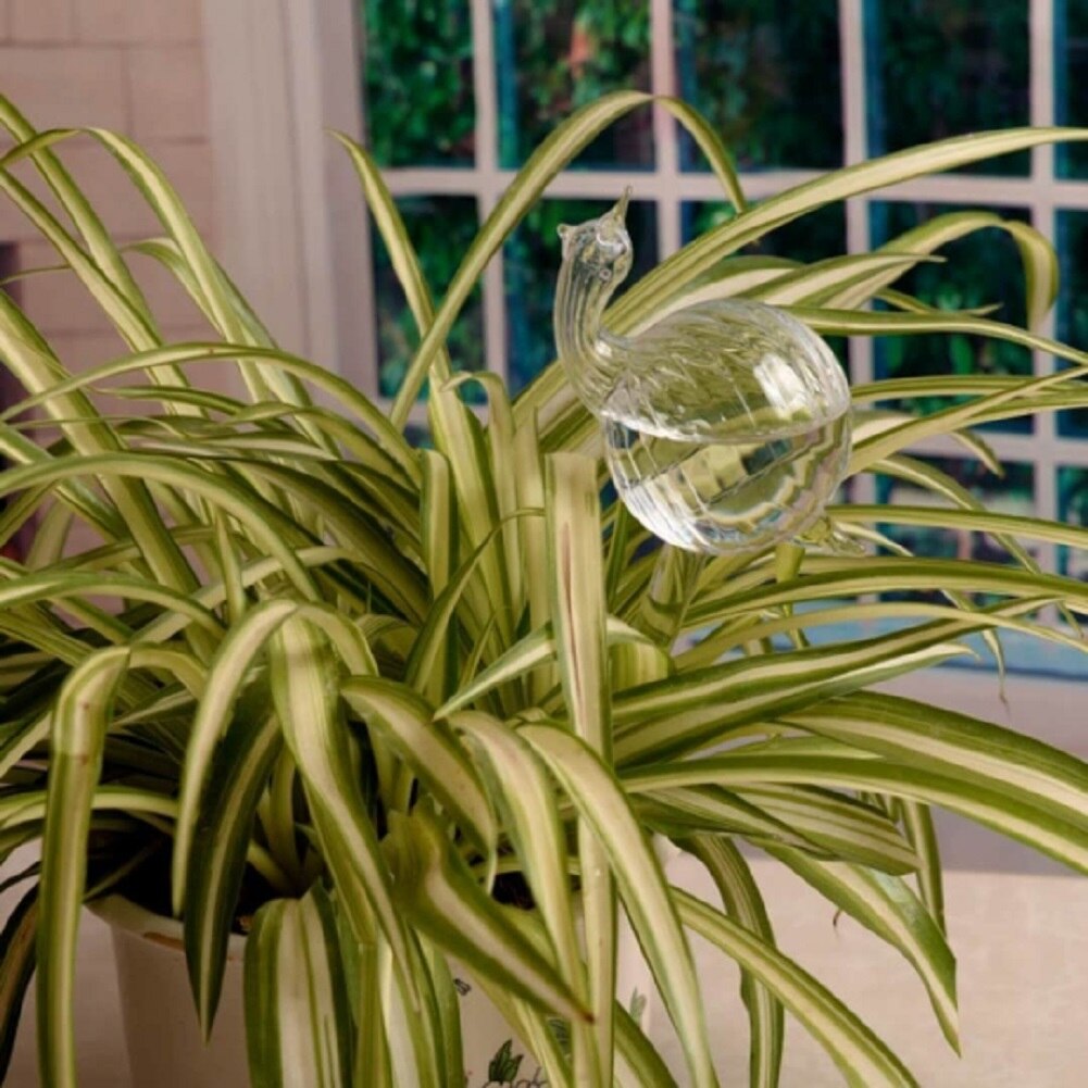 Alimentador automático de agua para plantas y flores, dispositivos de autorriego, alimentador de agua de vidrio transparente, forma de pájaro, 6 formas: snails