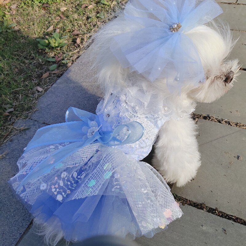 Vestido de lujo con lentejuelas y lazo para perro, vestido de princesa de color azul claro y rosa, a la , tutú de boda para perros pequeños