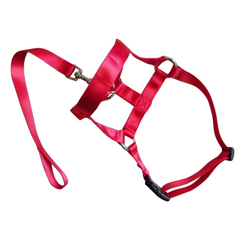 Dog Training Head Collar Dog Mouth Cover Traction Rope No Pull Head Harness Stops Dog Pulling With Head Leash for Dog: Red / L