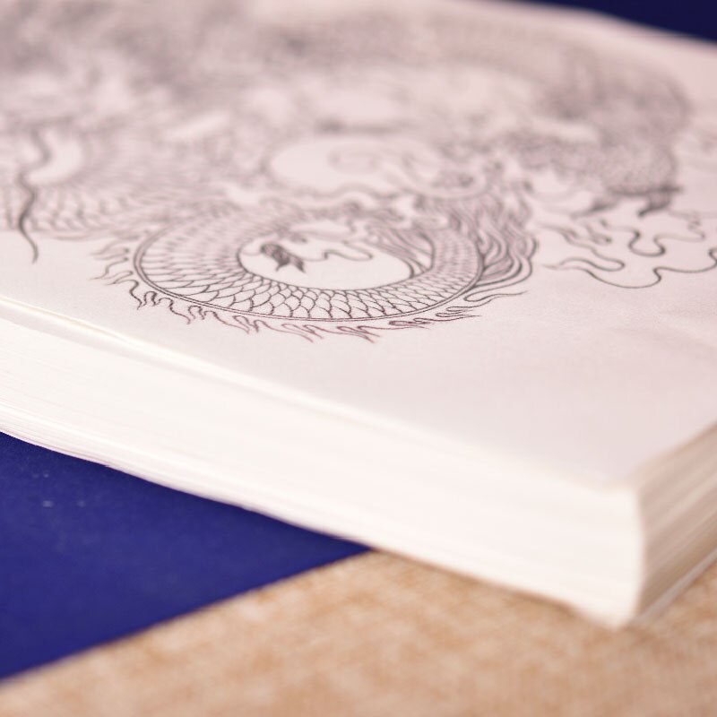 Tamron – manuscrit en papier de riz, dessin méticuleux, couleur, riz mûr, Tradition, dessin dragon pour débutants, aquarelle, peinture chinoise