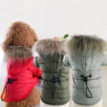 Hond Warme Beneden Katoen Gewatteerde jas Kostuum Puppy Winter Kleedt Hoodie Jassen Huisdier donsjack katoen * 5
