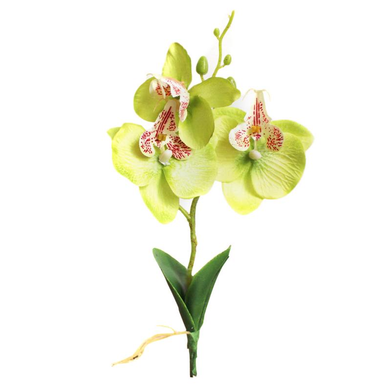 Kunstig blomst plast orkidé silke blomst hjem mini phalaenopsis simulering planter bryllupsfest dekoration blomst gren: Grøn
