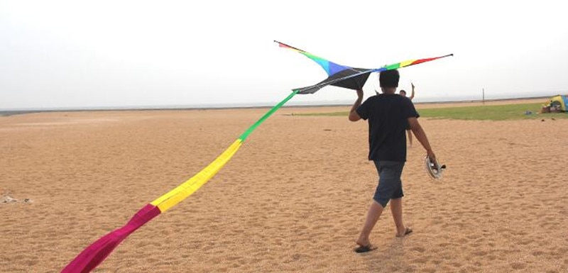 , novedad, cometa Pájaro de Fuego suizo de 3m para adultos, cometa de flamenco, cometa ross, línea de kevlar, cometa de entrenamiento windshock 3d doos vlieger