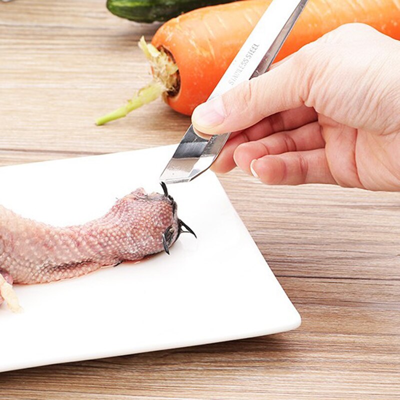 Stainless Steel Fish Scale Remover Fish Scraper Fi... – Grandado