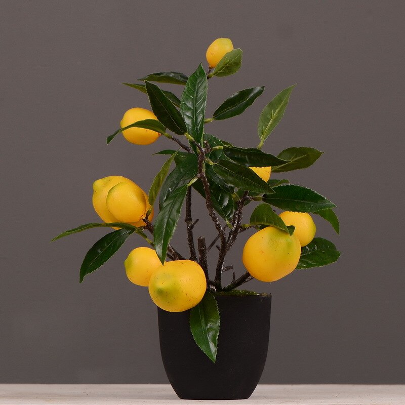 Bloem Bekend Model Persimmon/Granaatappel/Citroen Kleine Pot Plant Indoor Home Groene Plant Bonsai Decoratie