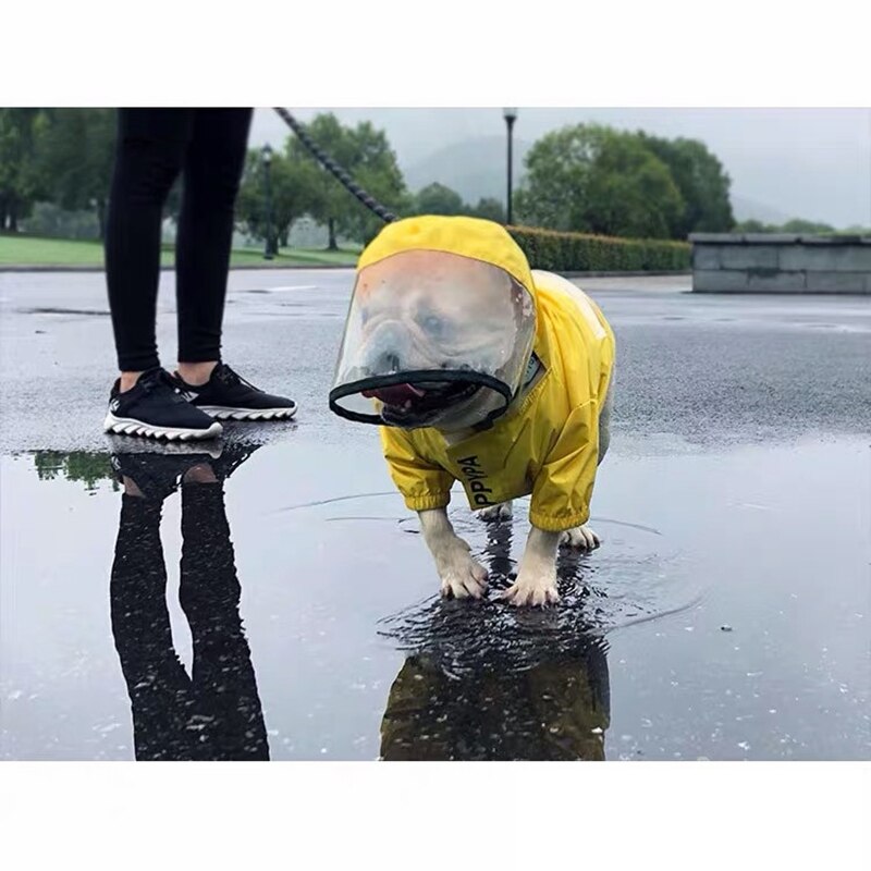 Chubasquero para perro Bulldog francés, abrigo de lluvia para mascotas, ropa impermeable para cachorros, chaqueta para perros pequeños y medianos, HPC07