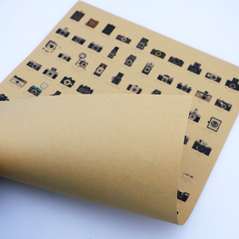 DLKKLB Camera Old Collection Contents Nostalgia Bar Kitchen Poster Decorative Painting 51.5x36cm Home Decoration Wall Sticker