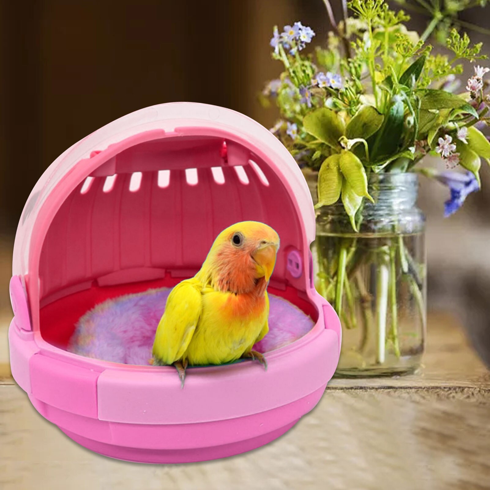 Pet Parrot Carrier Bird Travel Bag Space Capsule Transparent Backpack Breathable Bird Travel Bag