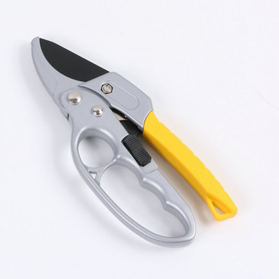 Hand-held Pruning Shears Garden Forest Plant Shears Garden Pruning Tools for Pruning Small Branches with A Diameter of 26 Mm: 2