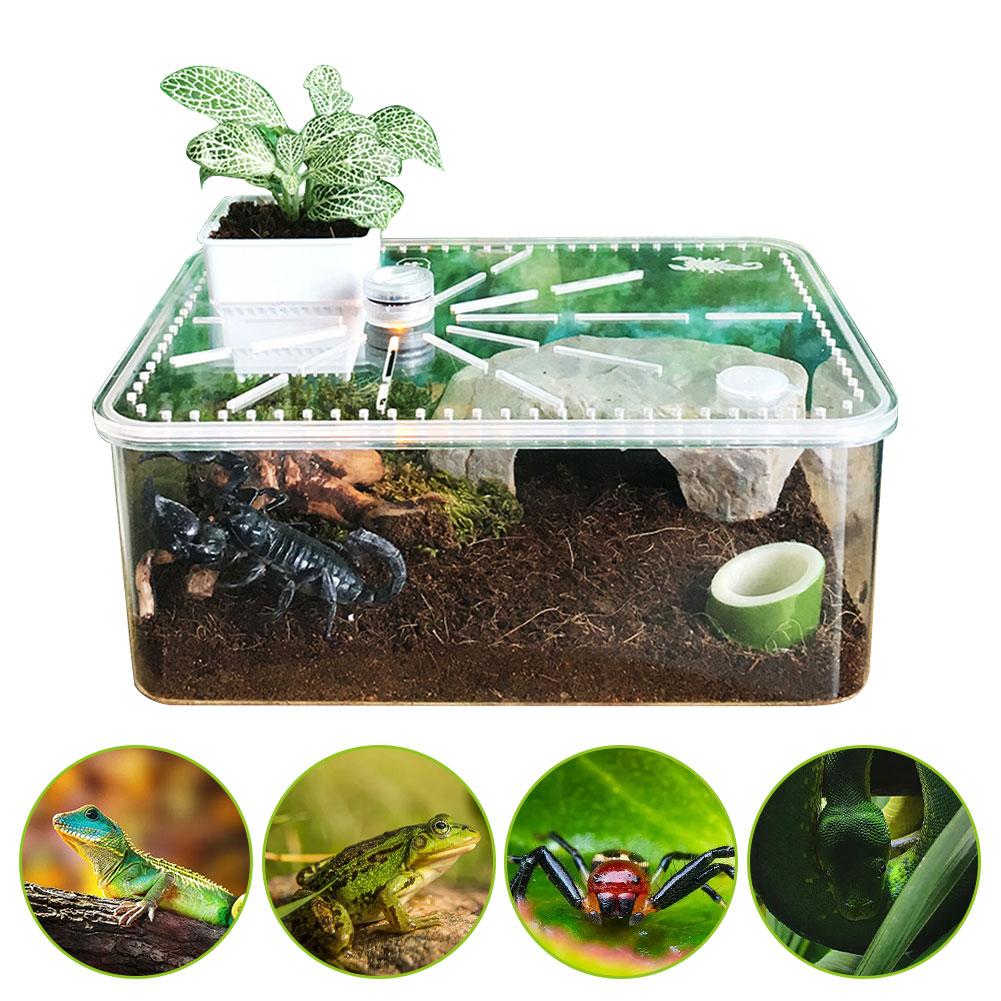 29cm*22cm*12cm Reptile Breeding Box Safe Breathable Acrylic Feeding Tank For Breeding Spiders Geckos Frogs Small Snakes Etc