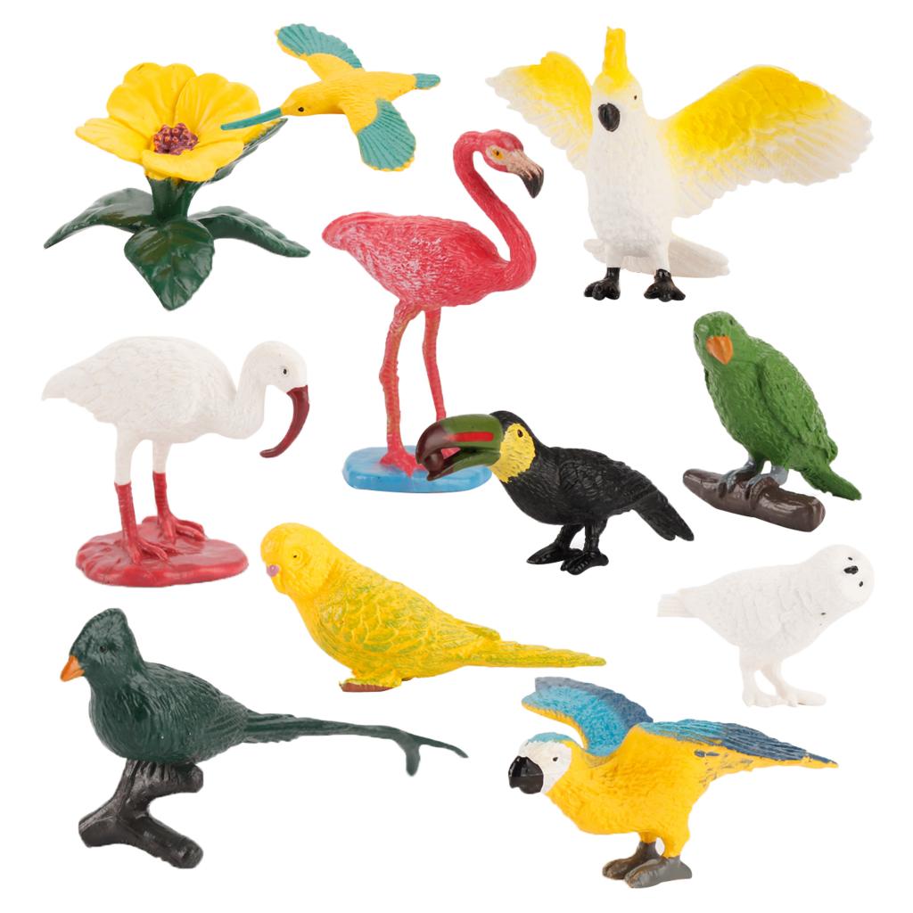 10 Pieces Simulated Bird Model Plastic Realistic Animal Figure Toy Dollhouse