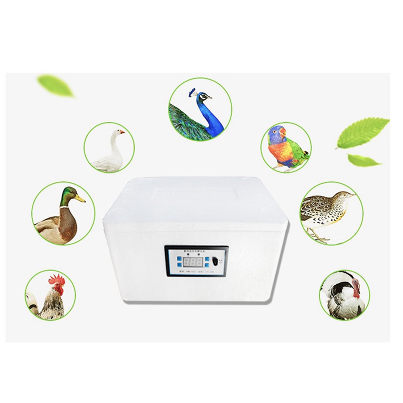 22 Eggs Incubator Automatic Home Digital Chicken Poultry Hatcher Foam Waterbed Incubator Farm Incubation Tool ,US Plug