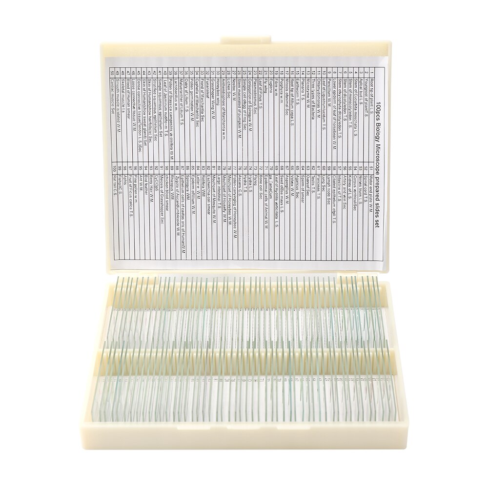 100Pcs Coverslips Glass Animal Plants Insects Glass Sample Science Specimen Cover Slips Microscope Slides Parts and Accessories