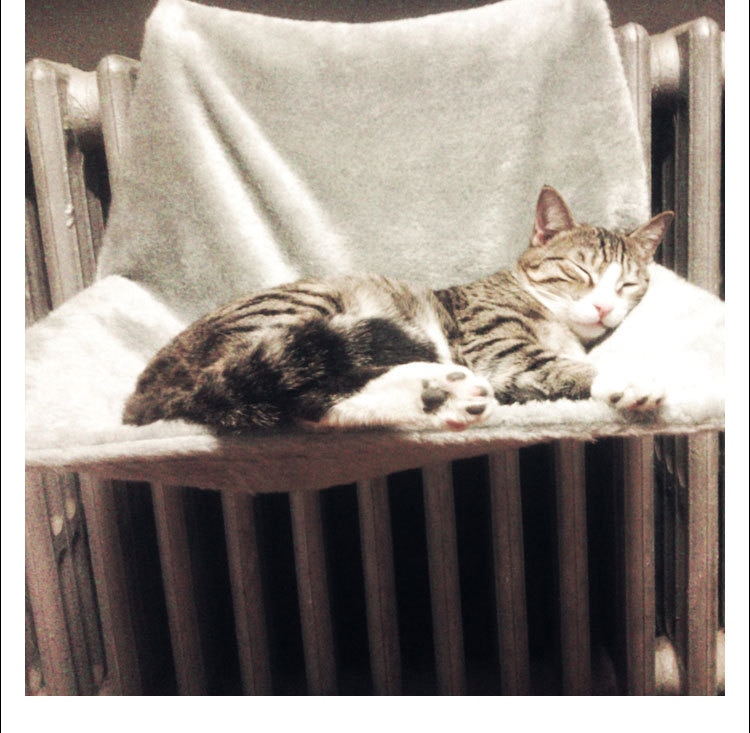 Kattebed aftagelig vindueskarm katte radiator seng hængekøje hvilestol lounge kæledyr killing hængende seng hyggelig kat hængekøje kæledyrsæde