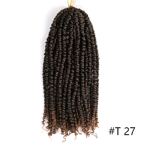 Passion Twist Braids X2 Crochet Braiding Hair Synthetic Crochet Hair Extensions High Temperature Fiber Braiding Hair For Women: T 27