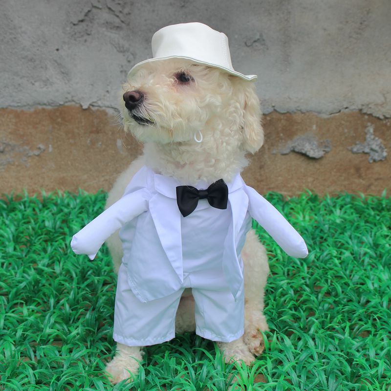 [MPK Store] Wedding Gown for Dogs, Beautiful Dog Wedding Dress, Pet Wedding Costume