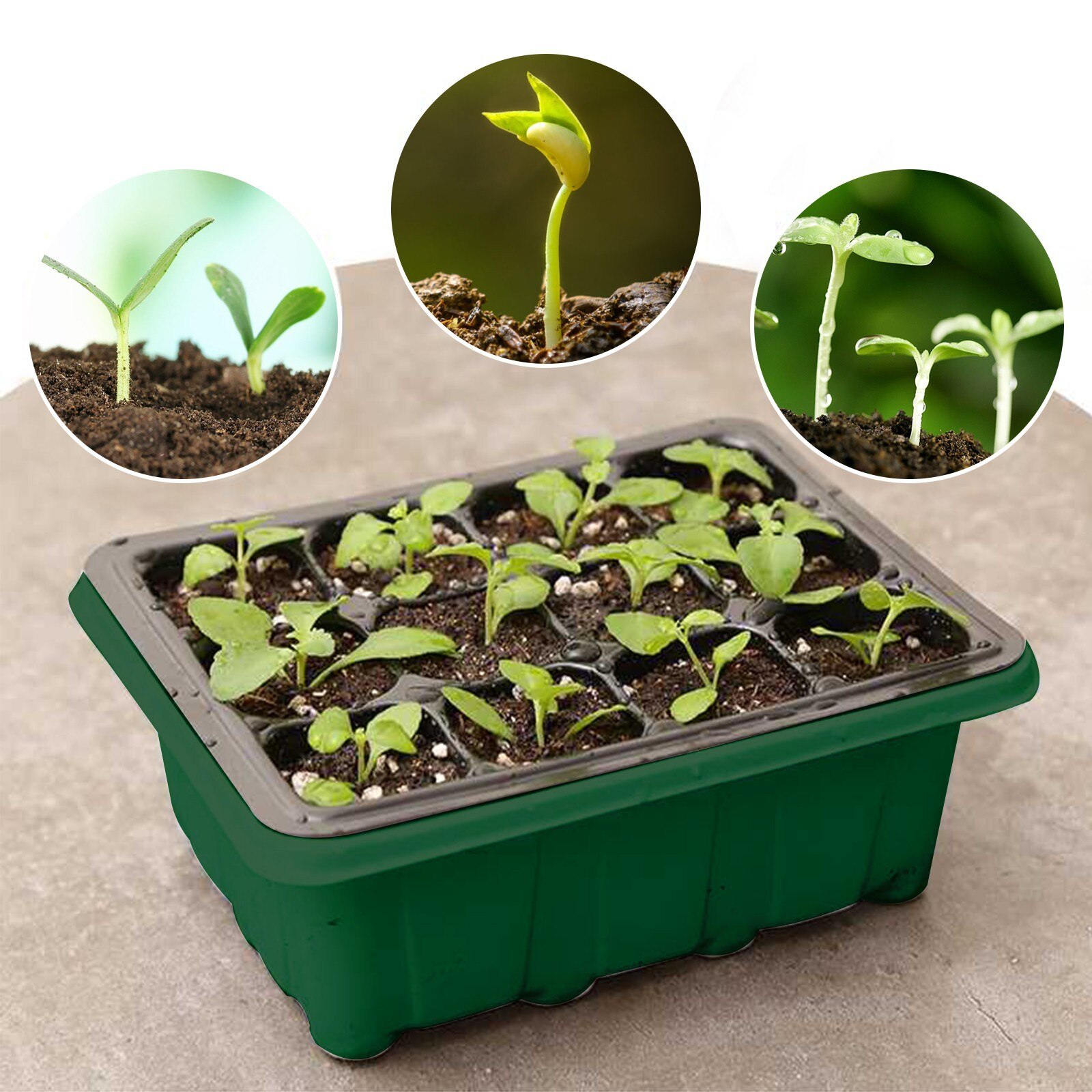 Seed Starter Trays Nursery Pots Seedling Tray Humidity Adjustable Switch Garden Decor 12 Cells Per Tray Plant Growing Box
