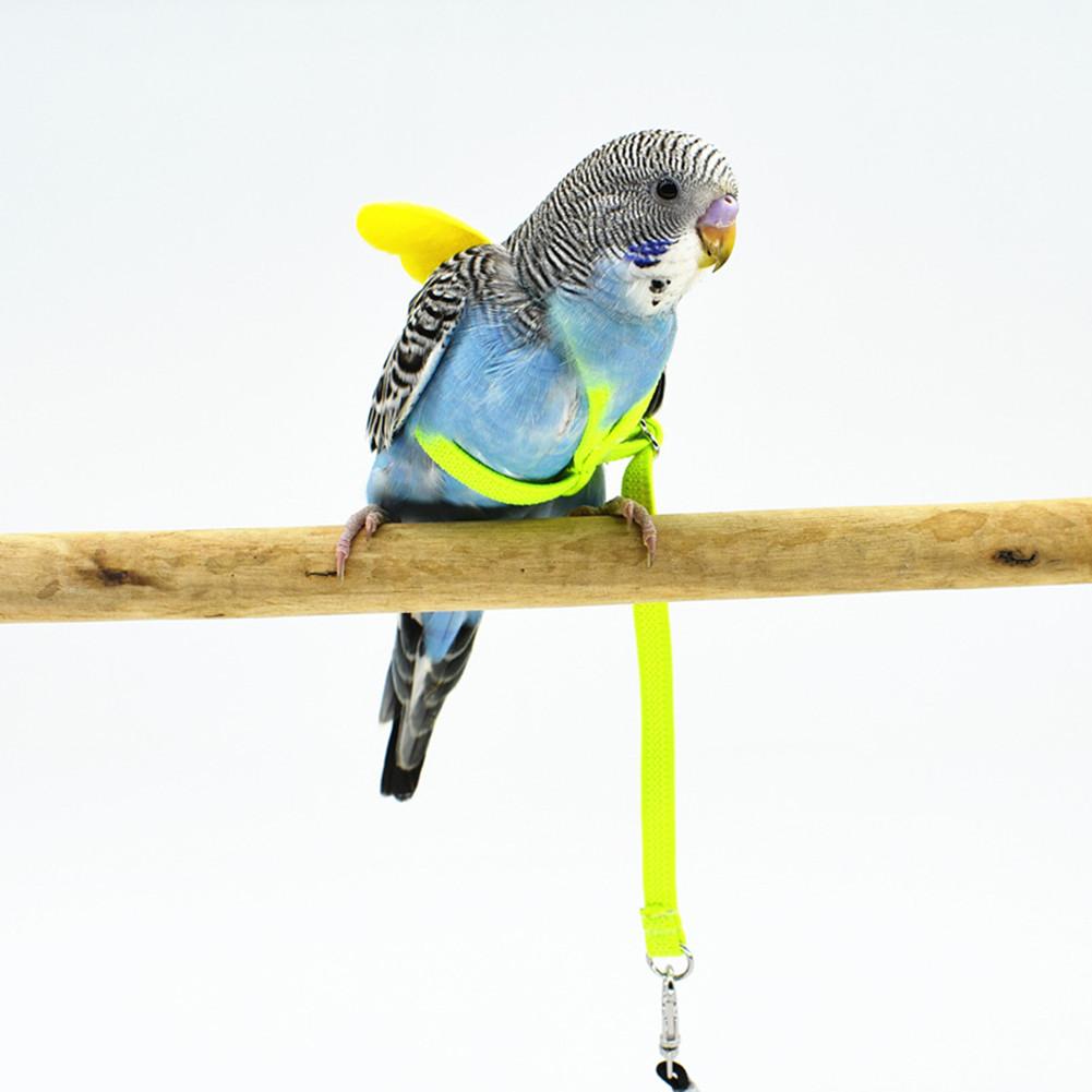 Pet Parrot Bird Harness and Leash Flying Rope Straps Outdoor Training Traction Rope for Budgerigar Lovebird Cockatiel Mynah Smal