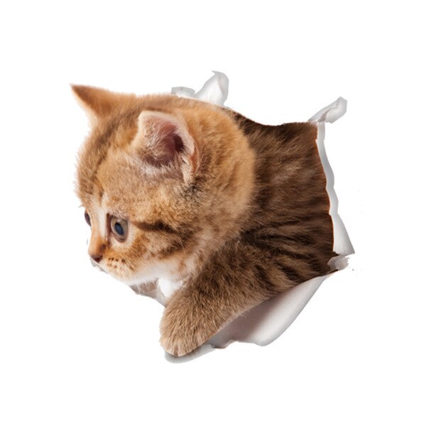 3D Creatieve Kat Hond Gebroken Muur Cartoon Sticker Zelfklevende Waterdicht Decoratie Wc Notebook Sticker: 05