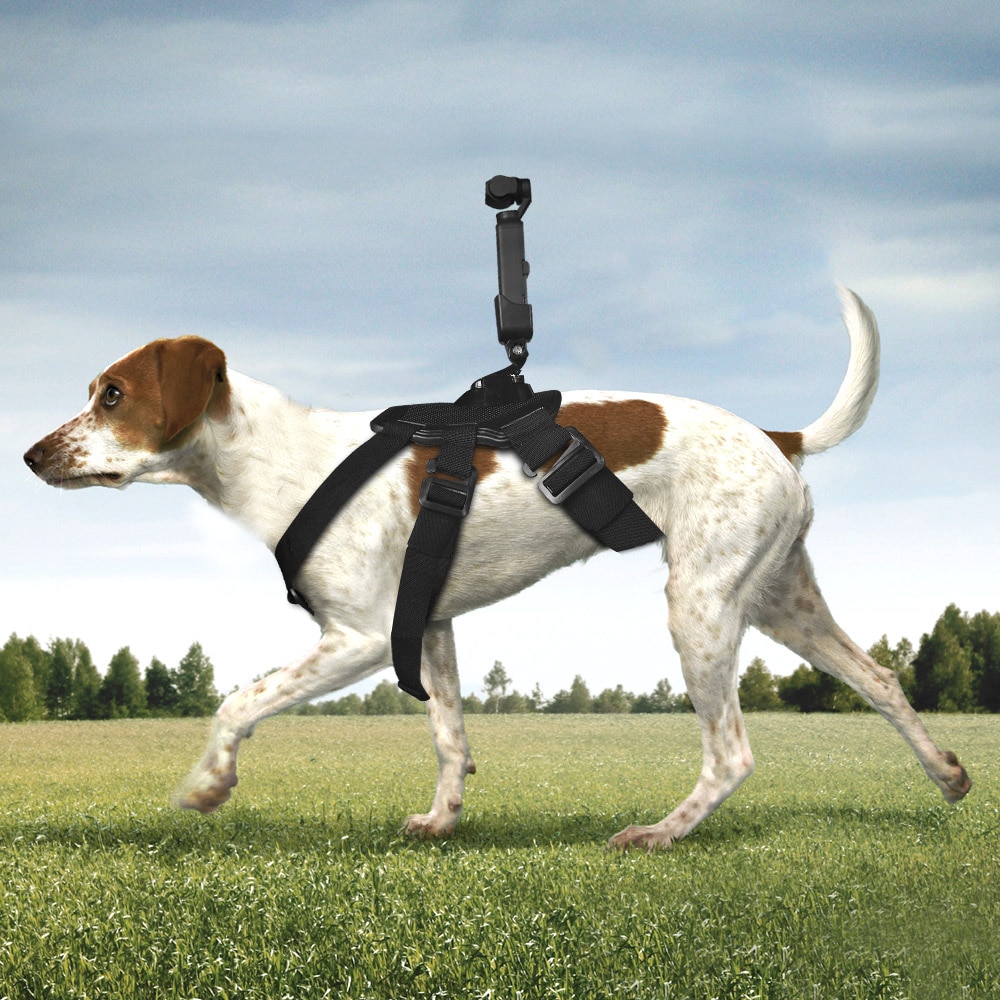Hond Band + Uitbreiding Adapter Hond Strap Mount Connector voor DJI Osmo Pocket Camera hond borstband voor GOPRO accessoires