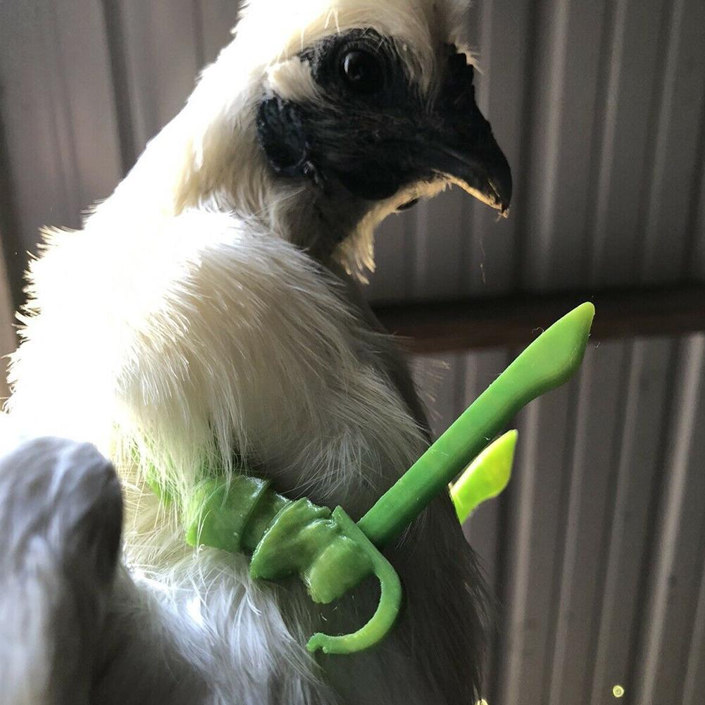 Bras de poulet solides pour le poulet, pour porter des costumes, jouets de décoration, produits amusants pour animaux de compagnie