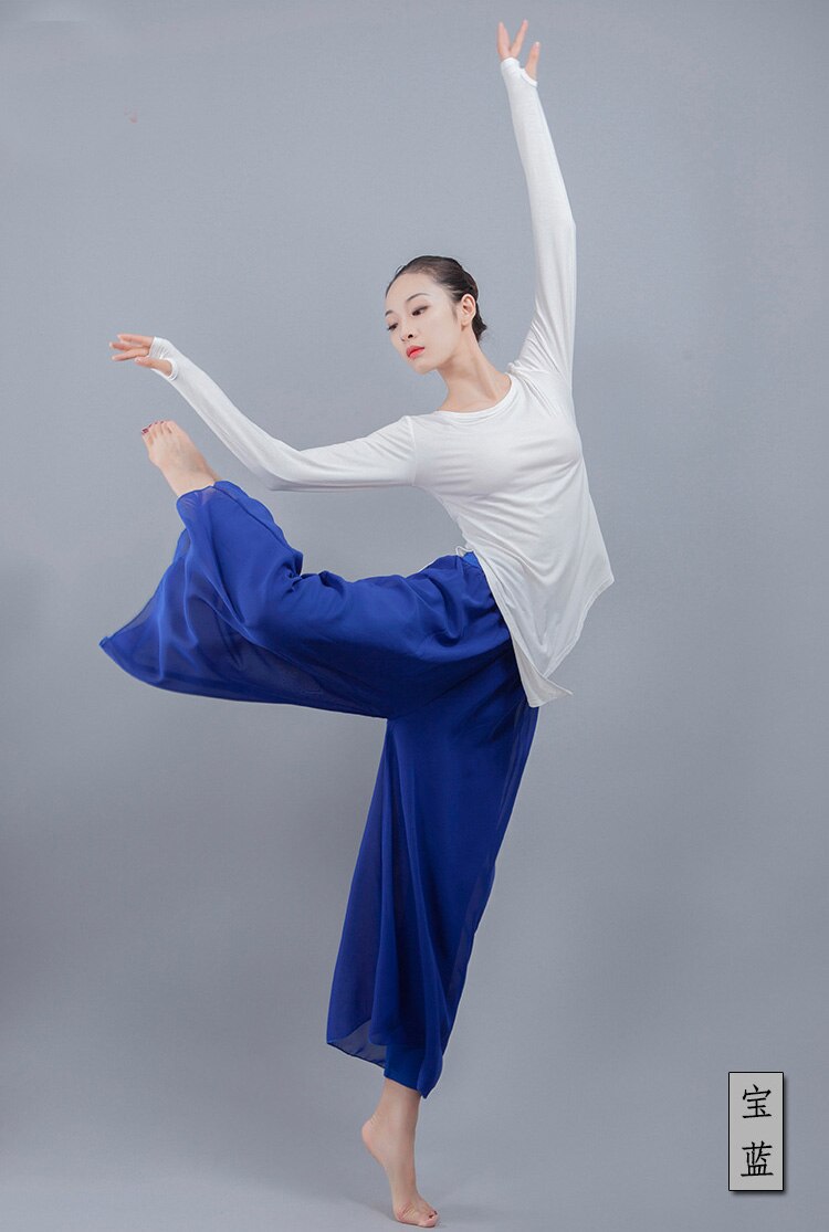 Latin Pant Standard Training Trousers Dance Pants Tango Waltz Dancing Costumes Women Ballroom Competition Belly Dance Pants: Blue