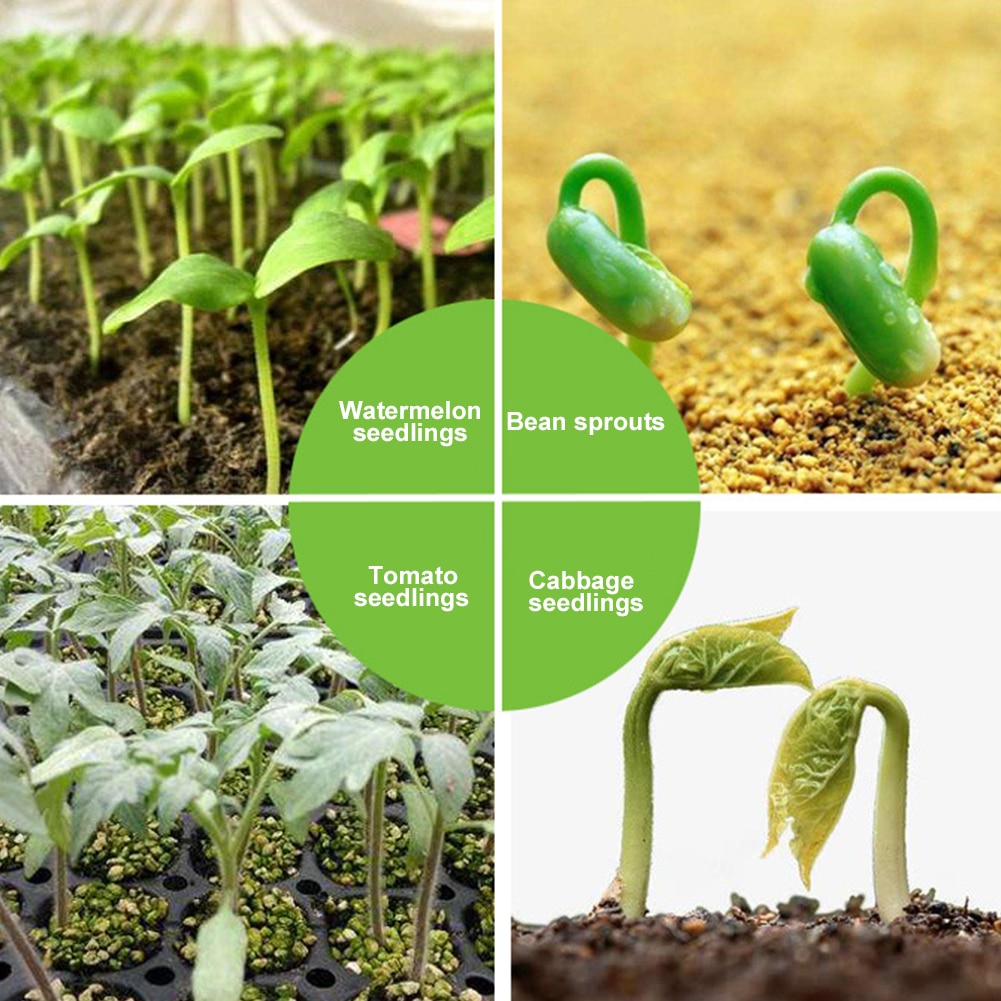 24 Holes Nursery Pots Starter Kit Plant Seeds Grow Box Seedling Trays Germination Box Garden Growing With Dome And Base