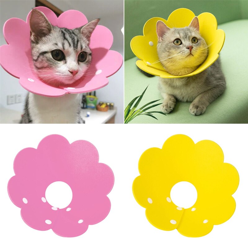 Collar de recuperación con forma de flor para gato, cono para el cuello, antimordedura, antiarañazos, para mascotas, Collar de protección para la curación de heridas de gatito