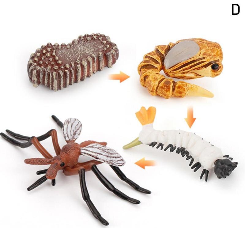 Simulation Animals Life Cycle Figurines, Frog Ant Mosquito Sea Turtle Chicken Growth Cycle Model Figures toys play set: Mosquito