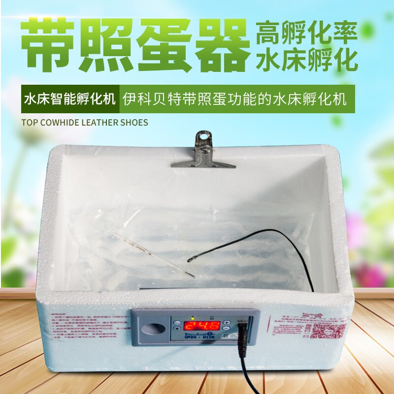Household small water bed incubator chicken incubator pigeon Goose Egg Quail Egg full automatic temperature control incubator