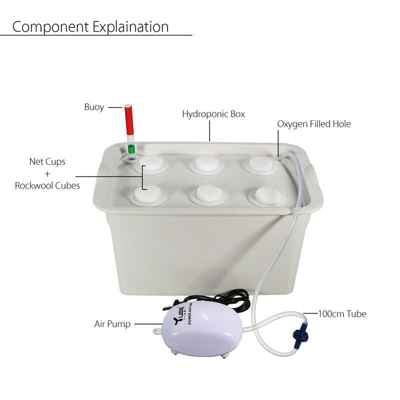 220V Plant Site Hydroponic System Kit 6 Holes Nursery Pot Soilless Vegetables Cultivation Seedling Box Garden Plant Grow Box Kit