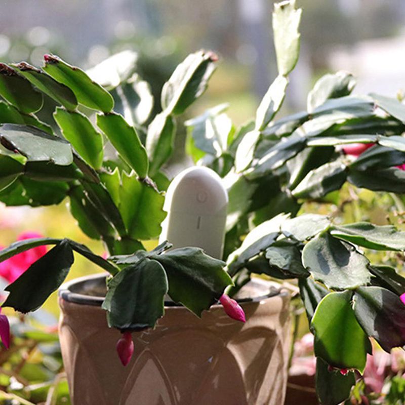 Global Version Flower Monitor Garden Plants Gross Water Soil Nutrient Smart Digital Detection HHCC Flora Tester Sensor
