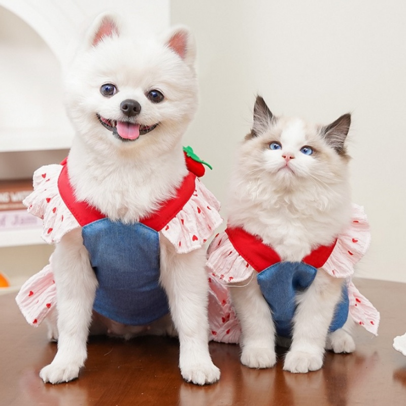 Robe harnais pour chien imprimé cœur avec laisse, jupe de princesse en Denim de luxe pour chiot, harnais pour chat mignon, corde de marche en plein air pour animaux de compagnie, vêtements pour chiens