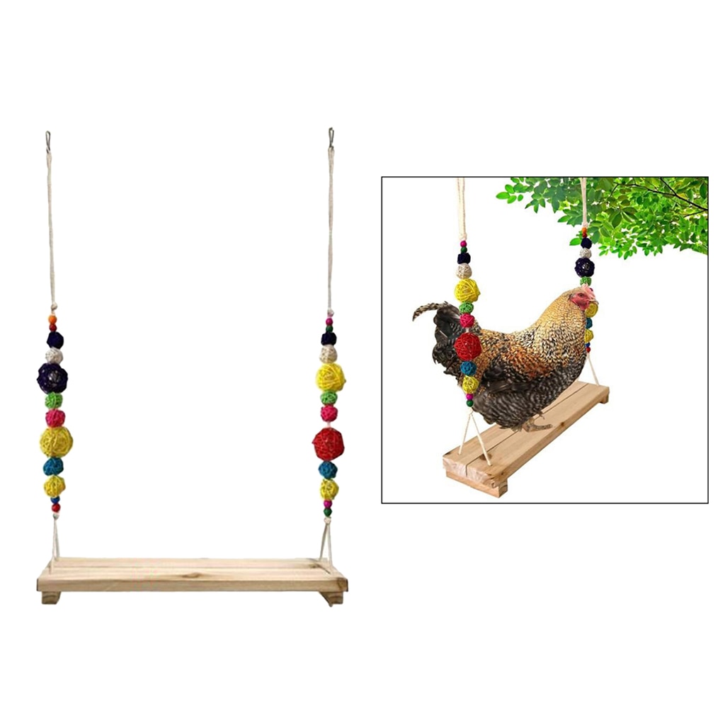 Chicken Swing Colorful Chicken Toys For Hens Bird Parrot Macaw Hens Swing Ladder