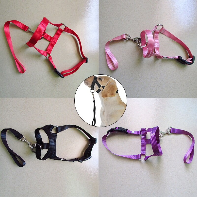 Collar de cabeza de entrenamiento con cuello Halter para perro, arnés de poliéster con cuello Halter, , ideal para cualquier temporada