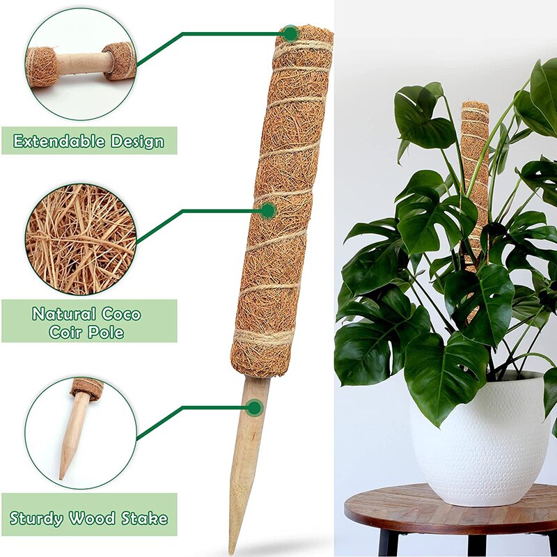 30/40cm planter klatrestokk kryp espalier støtte kokos totempæl utendørs opprettholde fuktighet hjemme innendørs hage