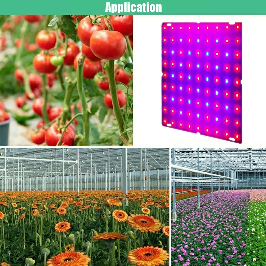 Led-växellampa fullspektrumlampa 1000w x 1500w led-växtlampor växthus inomhus fytolampa odlingsbelysning usa eu uk-kontakt