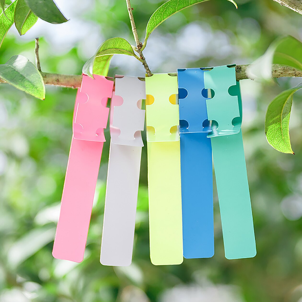 Tuinieren Card Fruit Tree Plant Label Card Multi-Kleur Verdikte Mark Identificatie Kaart Bloem Kaart Plastic Kaart Waterdicht