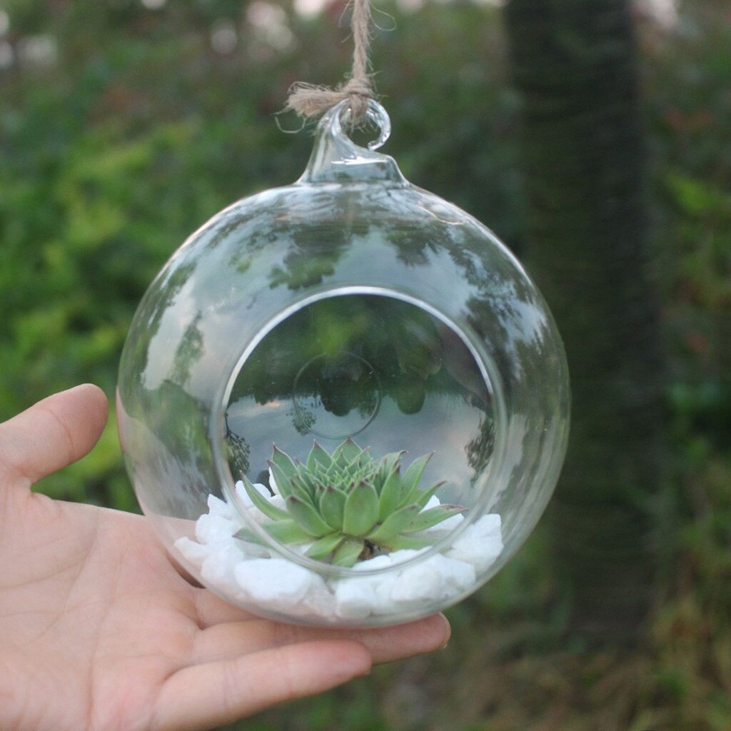 Blomst hengende vase glass planter plante terrarium container hjem bryllup dekor