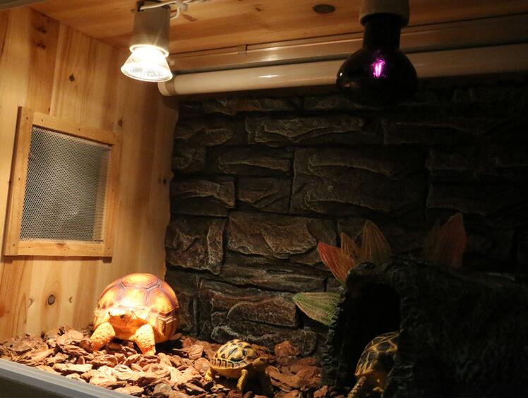 Krybdyrskildpadde varmelamper pindsvin varmelampe halogen lampe uva nat lys måneskin kæledyr varme lampe