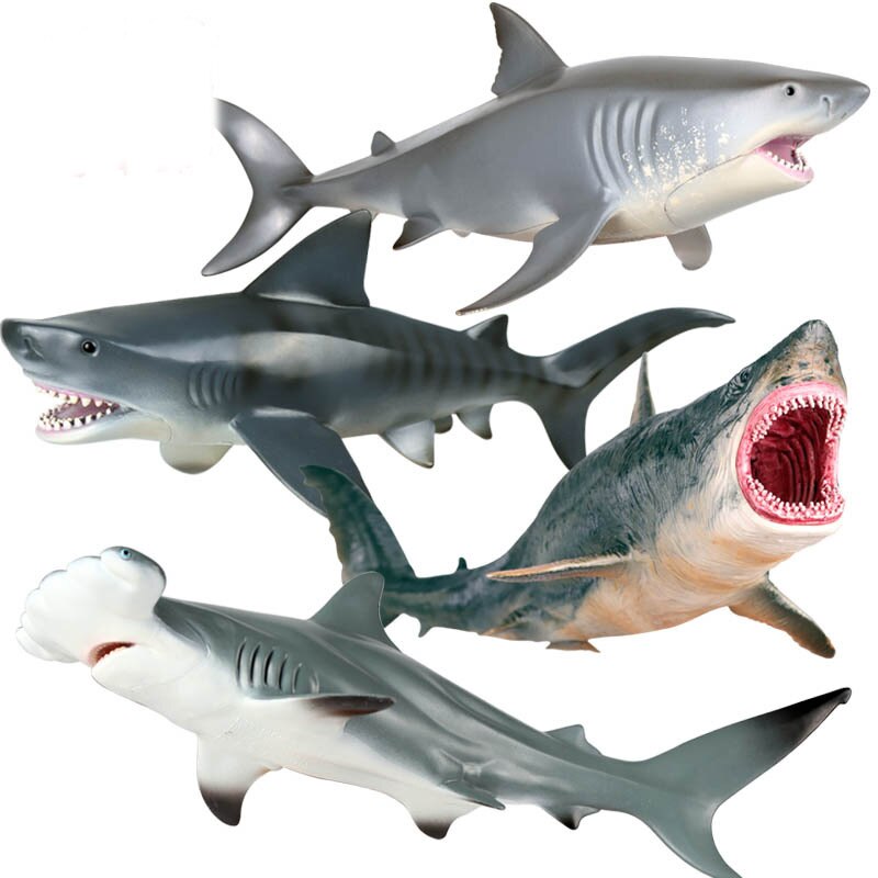 Simulatie Mariene Leven Onderwaterwereld Haai Model Megalodon Grote Witte Haai Tiger Shark Hammerhead Shark Speelgoed
