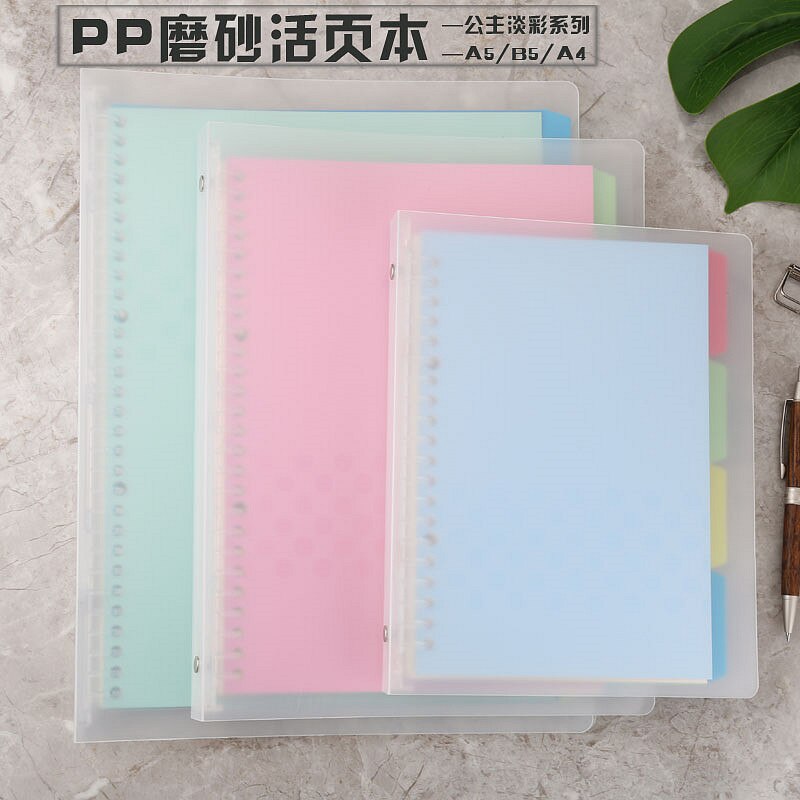 Princess Light Color Loose-leaf Pages A4 B5 A5 Handbook In The Index Page Inside The Page Binder