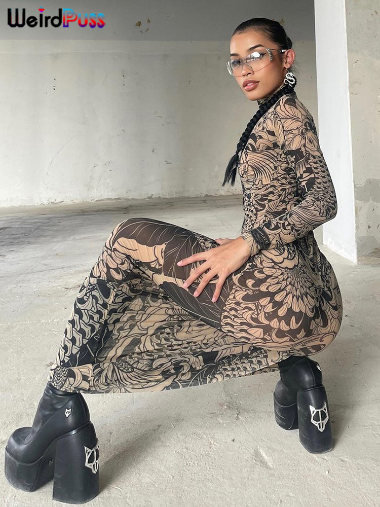 Raar Poes Mesh Print Vrouwen Maxi Jurk Coltrui Volledige Mouw Bodycon Herfst Trendy Hipsters High Street Party Y2K Kledij