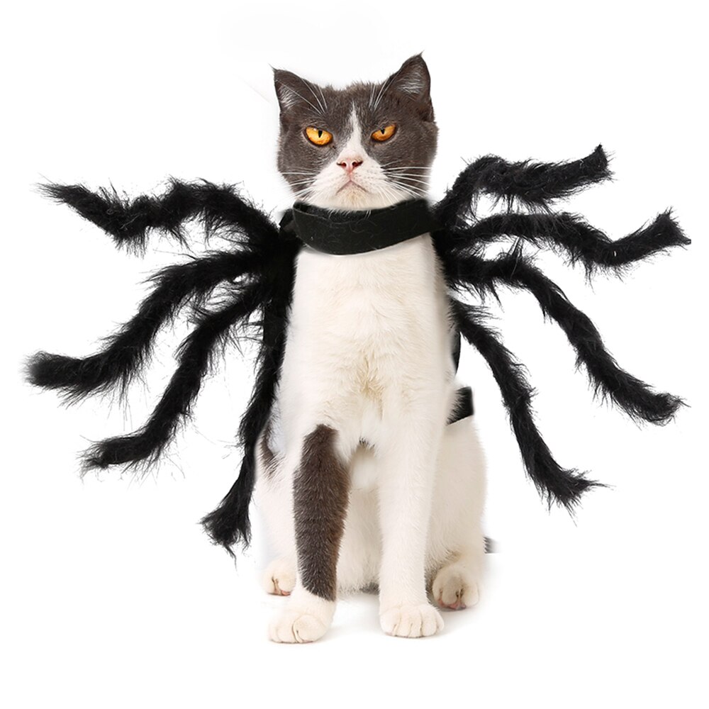 Neue Halloween Haustier Spinne Kleidung Simulation Schwarz Spinne Welpen Cosplay Kostüm Für Hunde Katzen Party Cosplay Lustige Katze Outfit