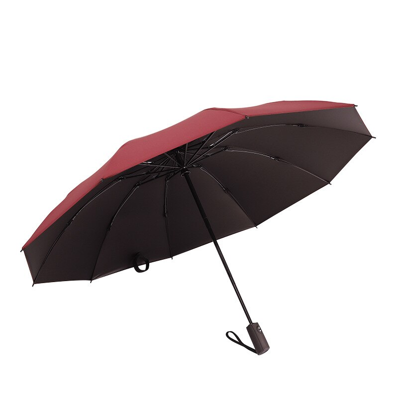Inverted Windproof Umbrella with Coating,10 Ribs Auto Open & Close Travel Umbrella,Portable Reverse Outdoor sun Umbrellas: 3