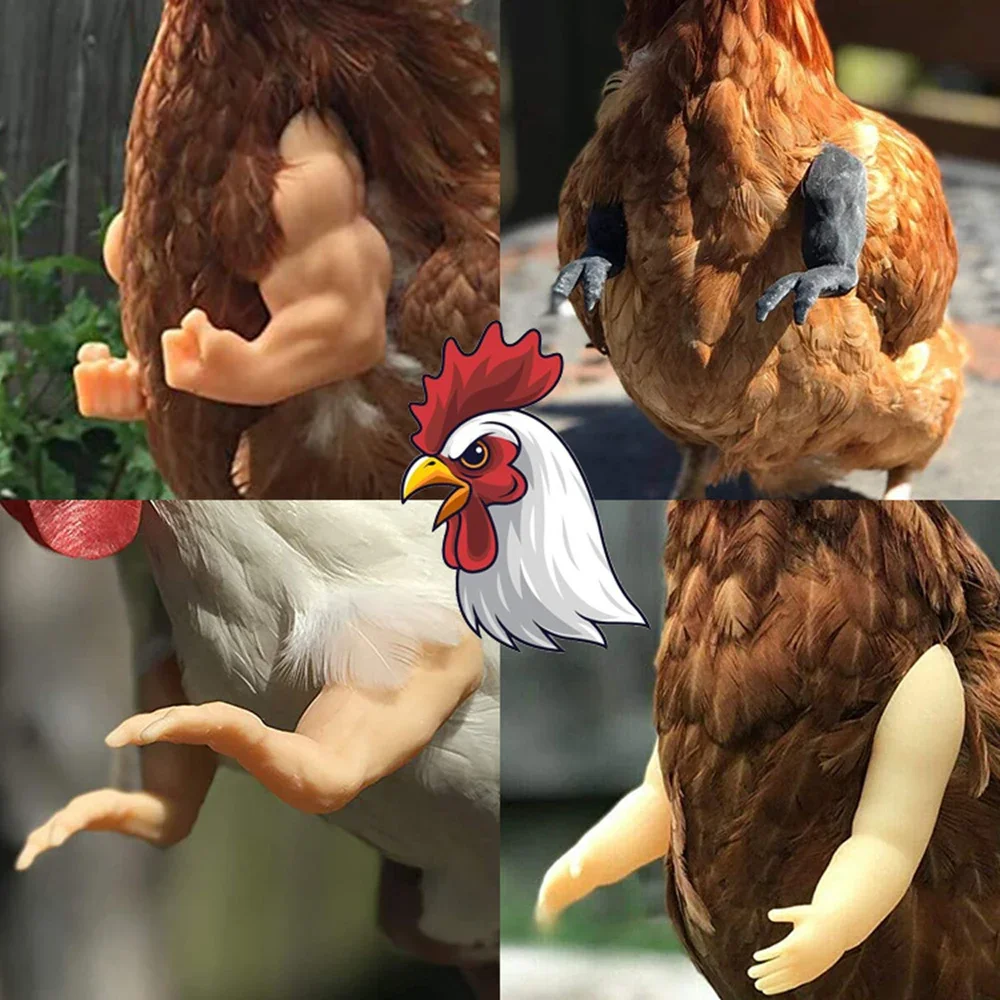 Bras de Musculation Artificiel Jetable pour Pigeon Poule, Jouets de ixà Thème pour Animaux de Compagnie, Accessoires de Gastronomie Amusants