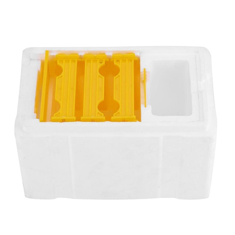 Queen Bee Beekeeping Tools Foam Beehive Bee Mating Box Bee King Box Pollination Box Set Breeding Equipment Beekeeper Supplies