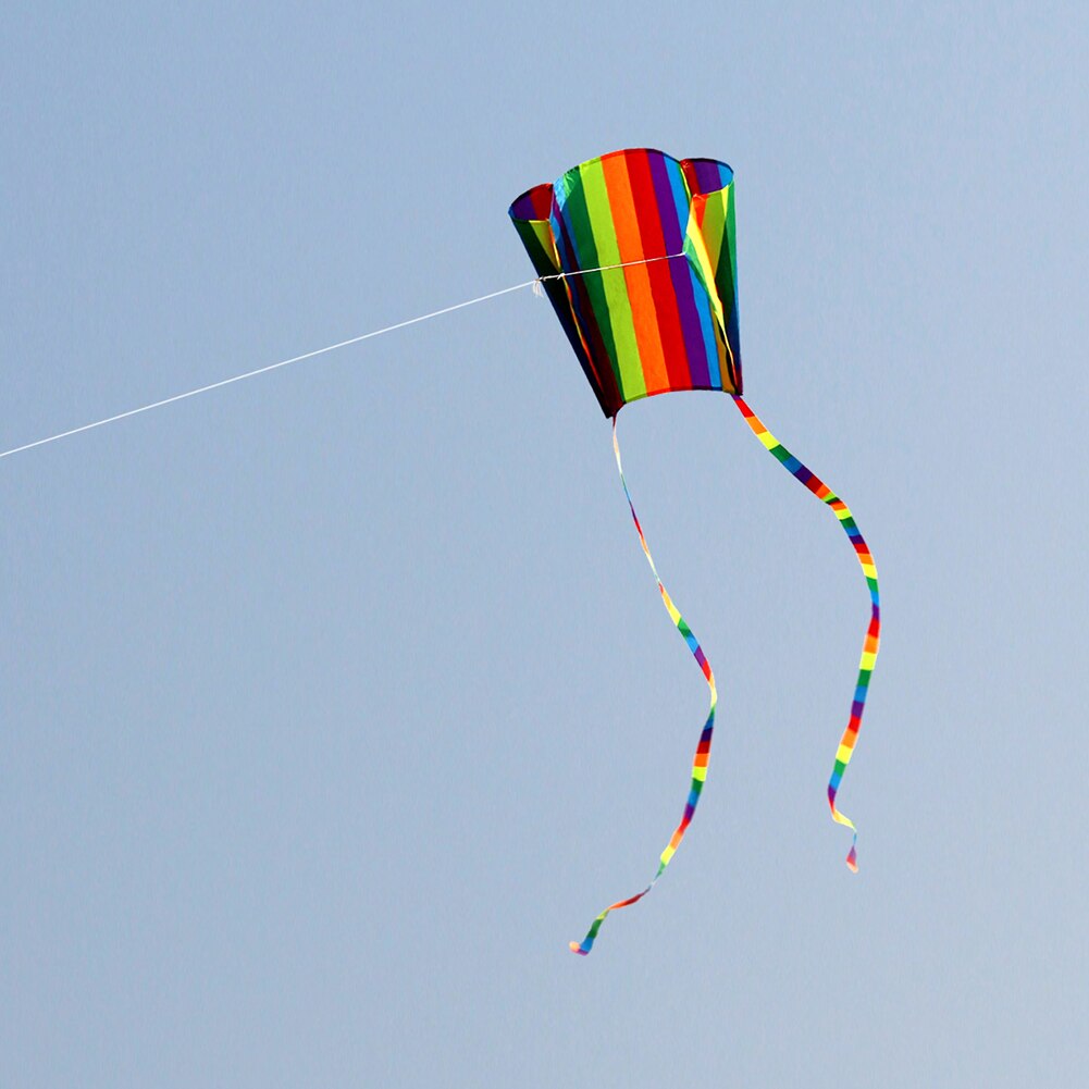 Aquilone volante a coda lunga colorato Parafoil all&#39;aperto con giocattolo per bambini linea 30m