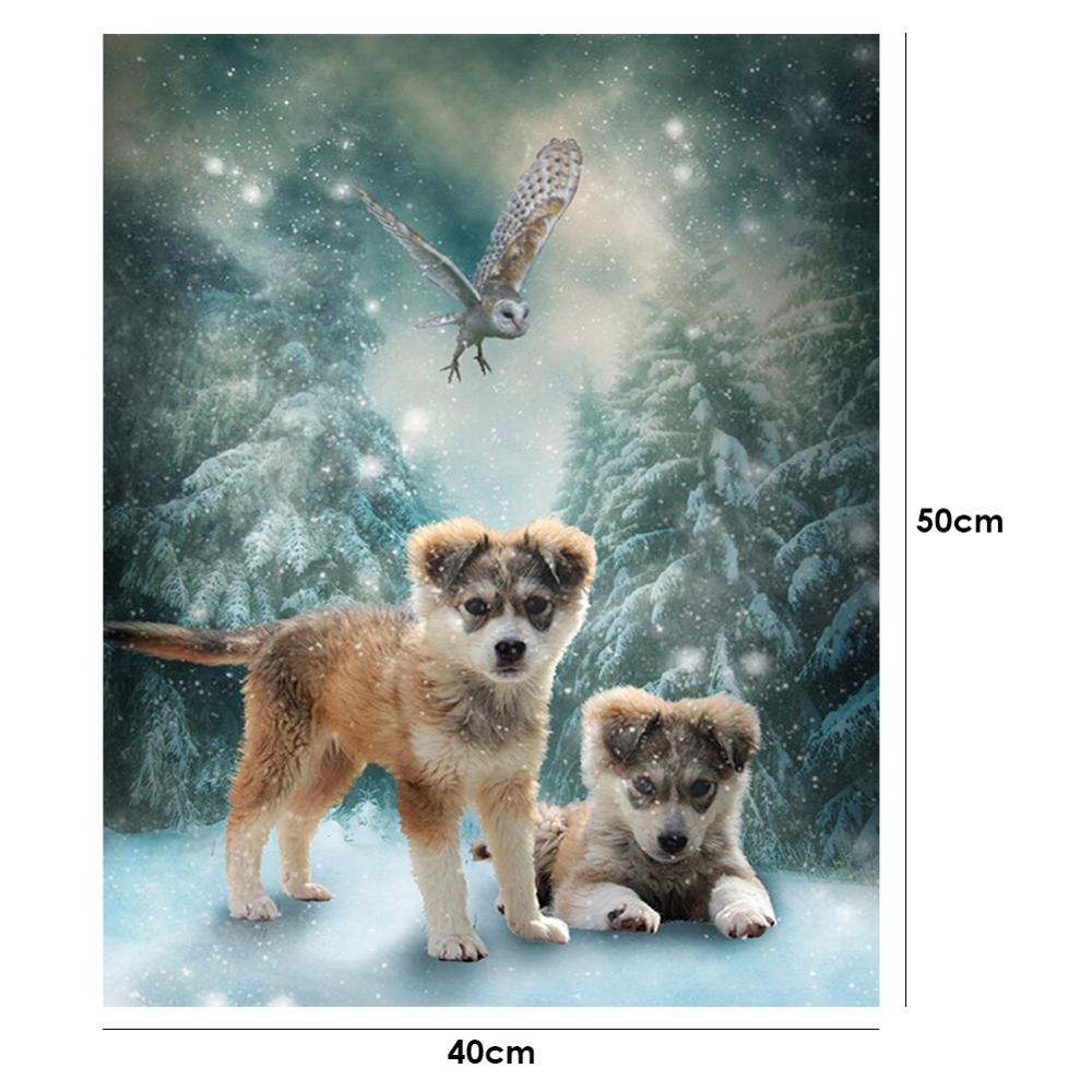 40x50cm Oli peinture par numéros Kit bricolage féroce aigle toile huile Art photo décor à la maison Animal fait main pas de cadre